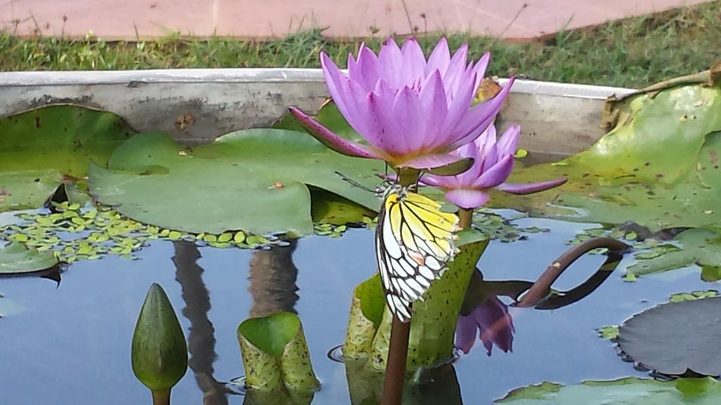 海风别墅 Kepungoda 外观 照片